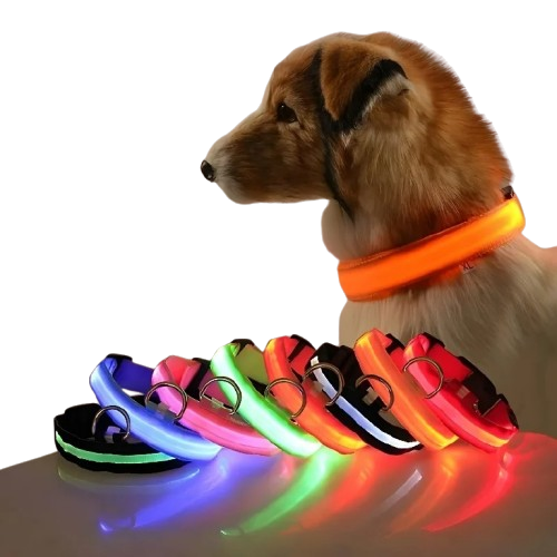 Luminous Dog Collar